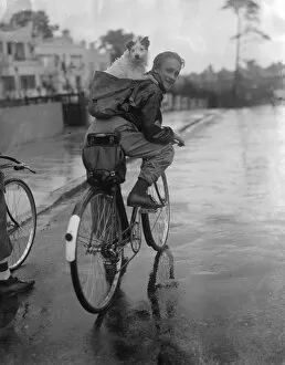 Animals Collection: Have dog, will travel. A boy riding a bike with his dog on his back in a rucksack