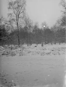 A dog walker enjoys the snow on Chislehurst Common, Kent. 1936