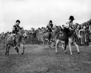 Spectators Prints: Donkey - Fighting out the finish of one of the donkey races in Wivelsfield Green