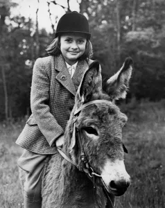 Rider Prints: Donkey - lightweight jockey Geraldine Hinson (9) of Jarvis Brook, Sussex, will be