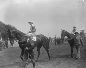 Donoghue Junior makes his bow to the public as a jockey at Salisbury. Steve