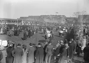 Double Chance wins the Grand National the paddock showing some of the National