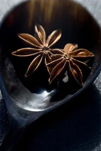 Dried Star anise fruits in small bowl. Also known as star aniseed, badiane or Chinese