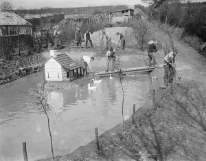 Outside Prints: The duck pond at Chailey 25 March 1920