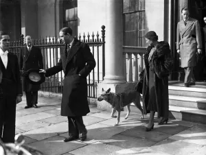 Royal Prints: The Duke and Duchess of Kent, and their alsatian leaving home in Belgrave Square