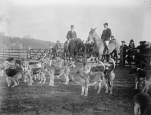 Duke of York at Belvoir hunt meet at Croxton Park. The Duke of York at the meet