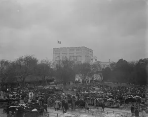 Duke of York at Norwich. Centenary of Founding of Norwich Museum. The Norwich Museum