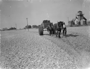 Cart Prints: Dungeness beach transport over the shingle. 1938