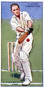 Whites Prints: E H Bowley Sussex 1930 A 2004 TopFoto
