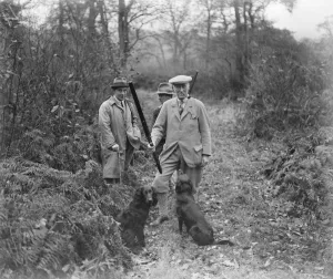 Guns Prints: Earl of Harrowbys shoot at Sandon Hall in Staffordshire. The Honourable F A