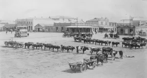 Traditional Prints: East London, South Africa Market Square 13 April 1922