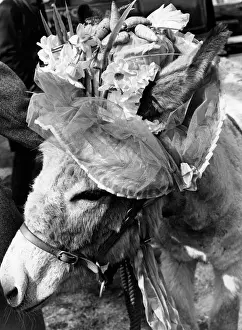 Animal Antic Prints: Easter Parade in Battersea Park. Londoners turned out in force in the warm sunshine