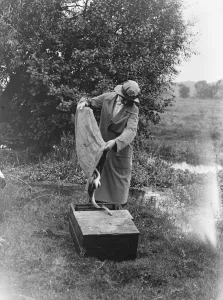 Eel fishing on the Hampshire river Avon 18 August 1920