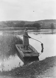 Eel fishing on the Hampshire river Avon 18 August 1920