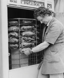 This egg machine sells mushrooms. At 2 shillings a half pound sell like hot cakes