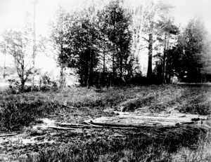 Historical Prints: Ekaterinburg: Spot in the woods where the remains of the Russian Royal family were found (Romanov)
