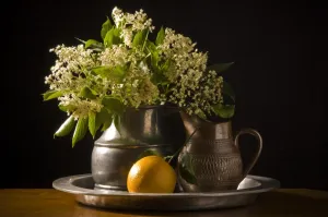 Citrus Prints: Elderflowers and orange with leaves on pewter charger with black background credit