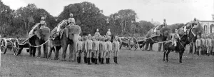 Elephant Battery Royal Artillery India 1895
