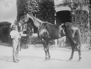 Englands champion stayer for the argentine Silurian, Englands champion stayer