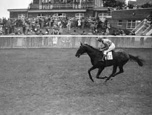 Race Course Prints: Epigram at Goodwood Racecourse, Sussex, England. 1937