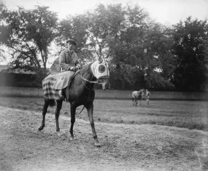 Animal Prints: The Epsom Derby Mr B Irishs horse, Papyrus which will bes Donoghue s