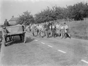 Evacuated children go for a ramble in Wye, Kent. 1939 / 40