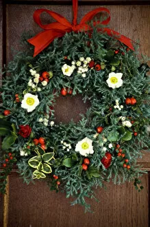 Leaves Collection: Evergreen christmas wreath with white christmas roses, rosehips, everlasting flowers