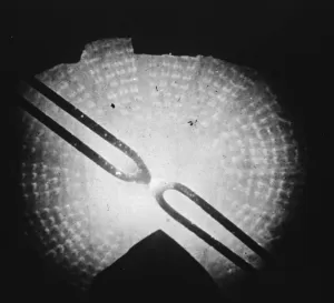 Industrial Prints: Extracting Nitrogen From the Atmosphere Disc of fire nearly 12 ft in diameter
