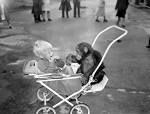 Fair haired, 2 year old Roger Sayers is usually a little wary of sharing his 4 wheeler