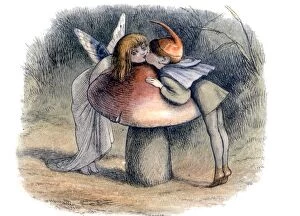 Images Dated 27th January 2016: FAIRY TALES - The sentimental Elf and the wayward Fairy. From Richard Doyles In Fairyland