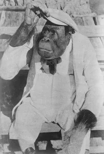 Famous Movie monkey weds. Joe Brown, the famous monkey, so often seen on the films