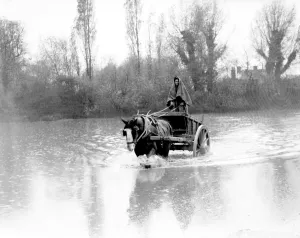 Memory Lane Prints: A farm labourer in Orpington Kent 1935 driving his horse and cart into the water