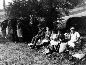 Farm labourers having a meal break - horses enjoying a food break too