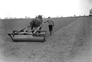 Farmer Prints: Farm Scene (Rolling). 1934