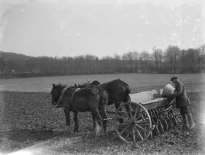 Farm worker sowing oats with a horse drawn seed drill in Shoreham, Kent. 1937