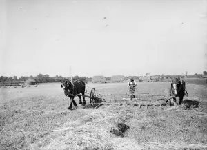Machinery Prints: Farm workers in Farningham with his horse team collect hay. 1935