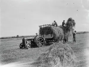 Machinery Prints: Farm workers in Farningham load hay on to the trailer being pulled by a tractor. 1935