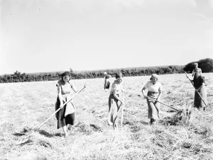 Farm workers in Farningham making hay. 1935