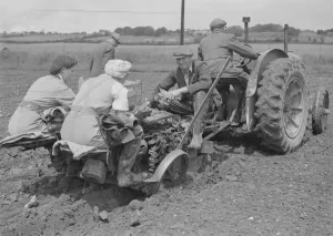 Farm workers using a tracter drawn Transplanters Robot Ltd crop planter
