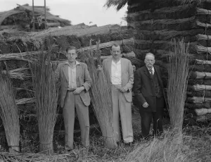 Crafts Prints: Farmans, three generations. 19 August 1937 Reed Thatching in Norfolk. Mr R