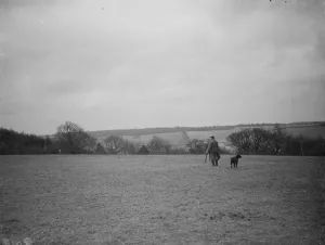 A farmer and his dog stands to view his fields at Preston hill farm estate