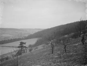 A farmer and his dog stands to view his fields at Preston hill farm estate