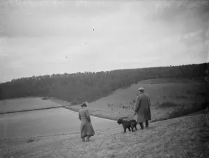 A farmer and his dog stands to view his fields at preston hill farm estate