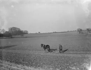 Farmer Prints: A farmer and his horse plough a field. 1936