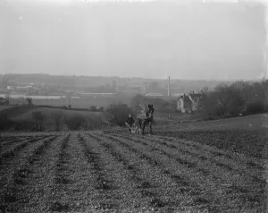 Farmer Prints: A farmer and his horse plough a stony field. suburban or urban meets rural