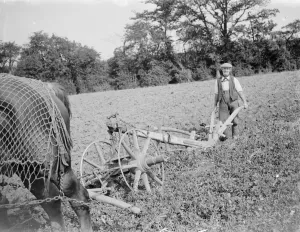 Team Prints: A farmer and his horse team plough a field in Kent. 1935