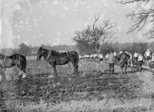 A farmer and his horse team ploughing a field, take a break to watch cross country