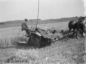 A farmer and his horse tethered to 25 year old McCormick Twine Binder with the Appleby