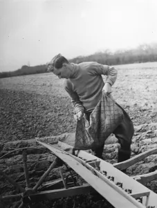 Farm Prints: Farmer loading seeds from a sack into a Coopers Drymac seed barrow