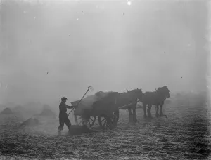 Heavy Horse Prints: A farmer spreads manure from a horse and cart on a February morning in Allington, Kent